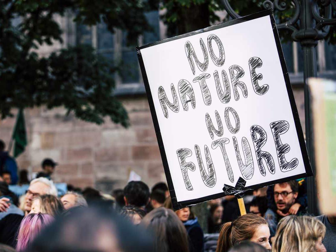 Pancarta "No nature, no future" a manifestació pel clima