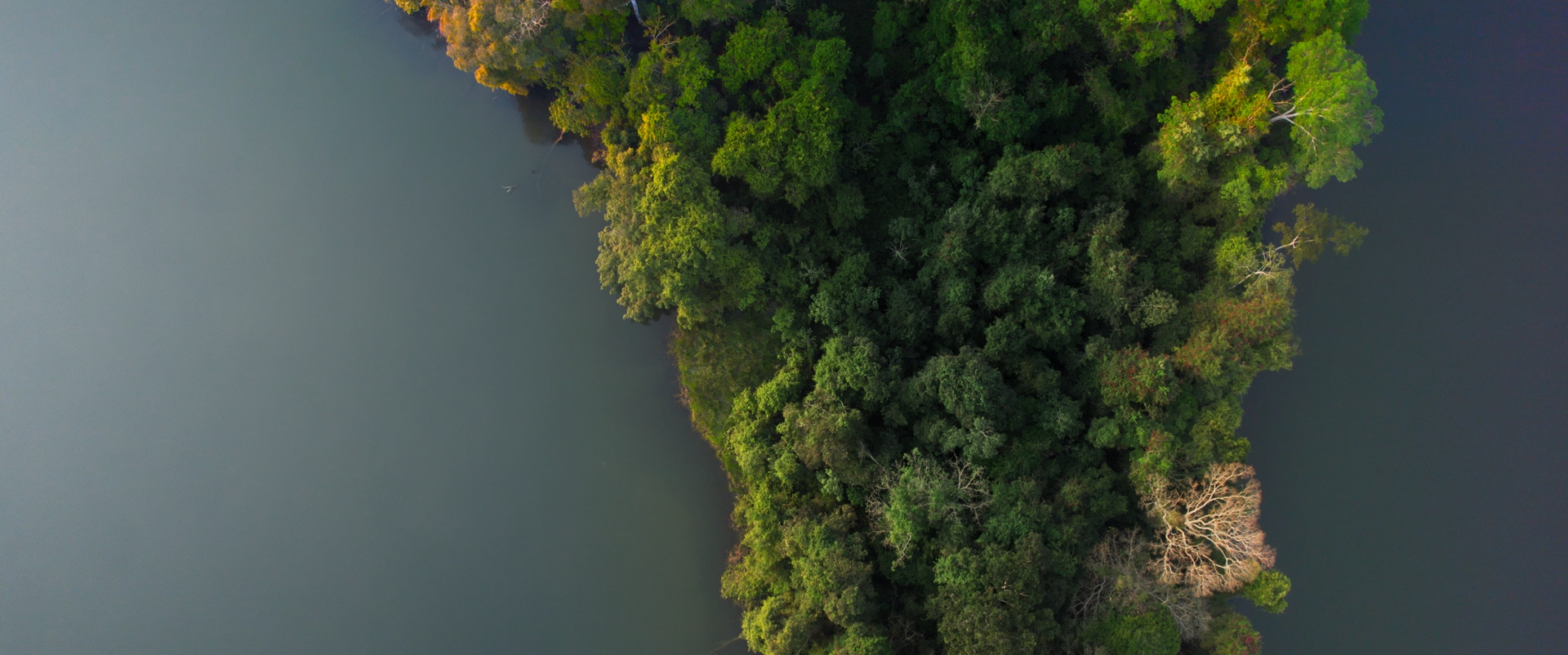 La ‘Salut Planetària’ a debat: tres universitats que donen resposta a l’emergència climàtica
