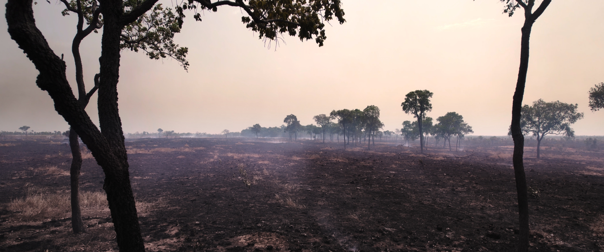 Riberalta: Una resposta a la destrucció de l'Amazònia boliviana des de la Universitat Autònoma del Beni
