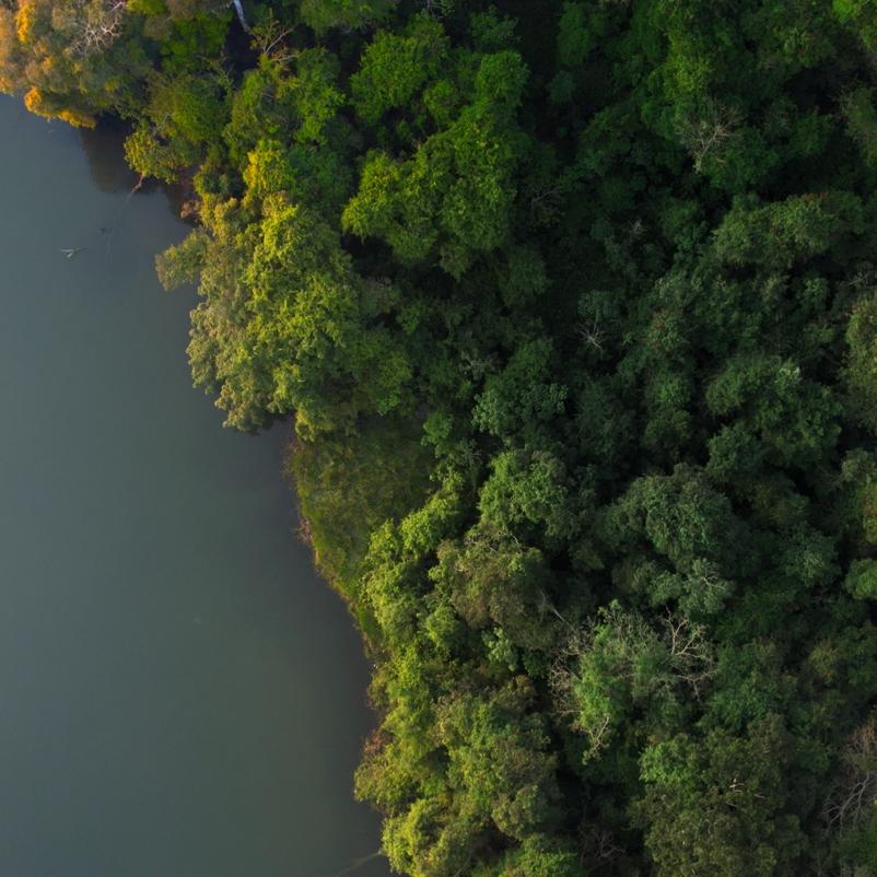 La ‘Salut Planetària’ a debat: tres universitats que donen resposta a l’emergència climàtica